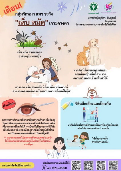 รพ.เมตตาฯเตือน! กลุ่มรักหมา แมว ระวัง “เห็บ หมัด”เกาะดวงตา